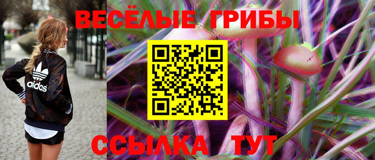 Псилоцибиновые грибы GOLDEN TEACHER Отрадный