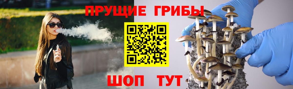 где купить   Галлюциногенные грибы мицелий  Отрадный  Вход с VPN  Псилоцибиновые грибы Psilocybine cubensis 